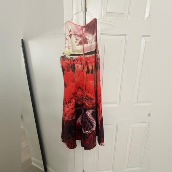 Ted Baker Red and Black Fit and Flare Midi Dress - Picture 6 of 6